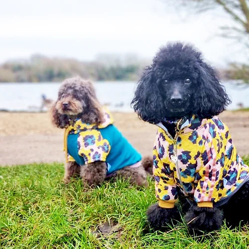 Gatto Trackie Jacket by Red & Ginger