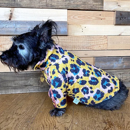 Gatto Trackie Jacket by Red & Ginger