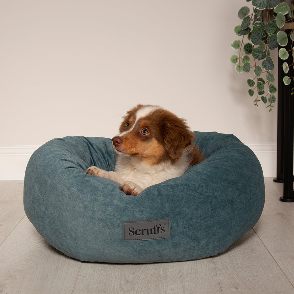 Oslo Ring Pet Bed (in Blush Pink, Desert Sand, Lake Teal or Stone Grey) by Scruffs