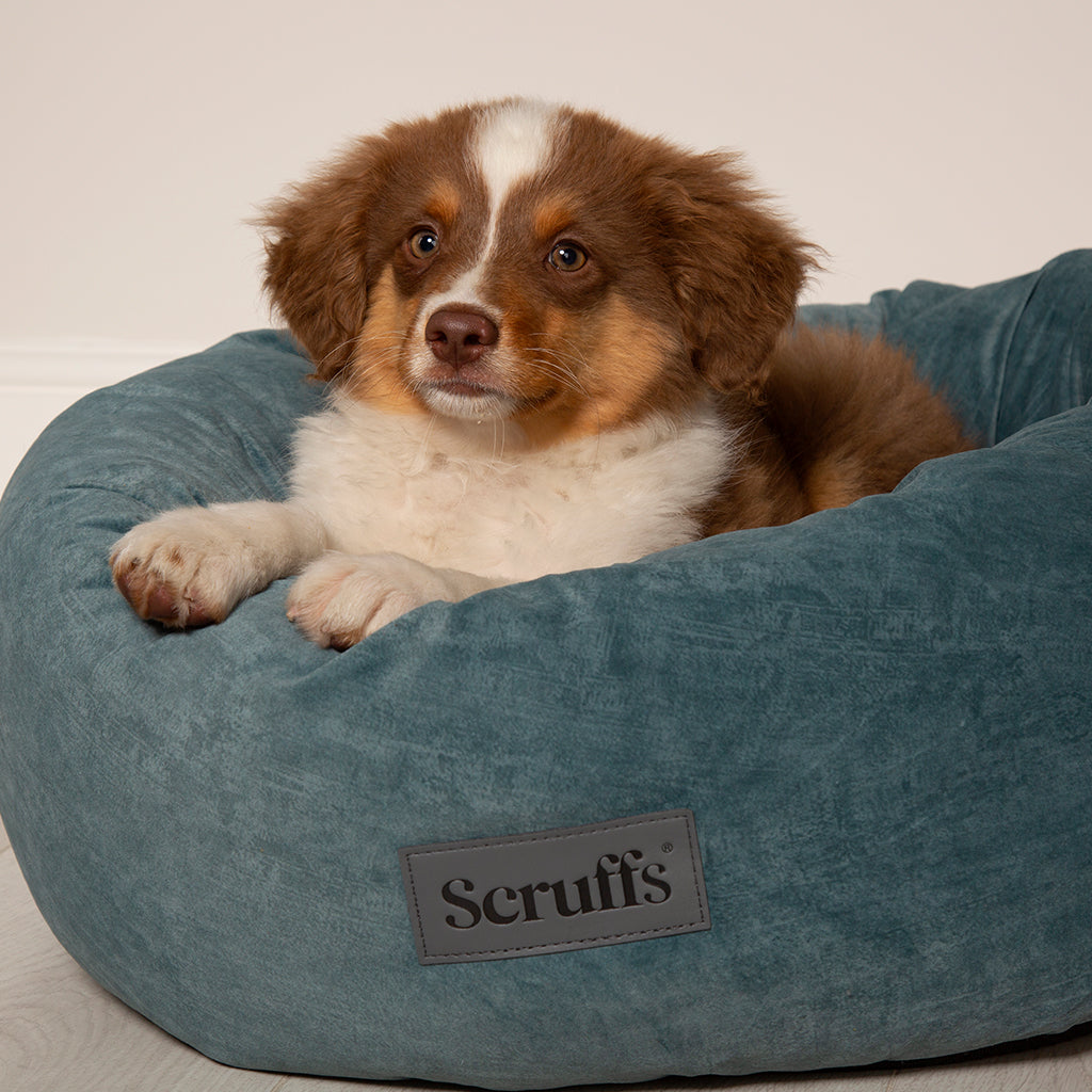 Oslo Ring Pet Bed (in Blush Pink, Desert Sand, Lake Teal or Stone Grey) by Scruffs