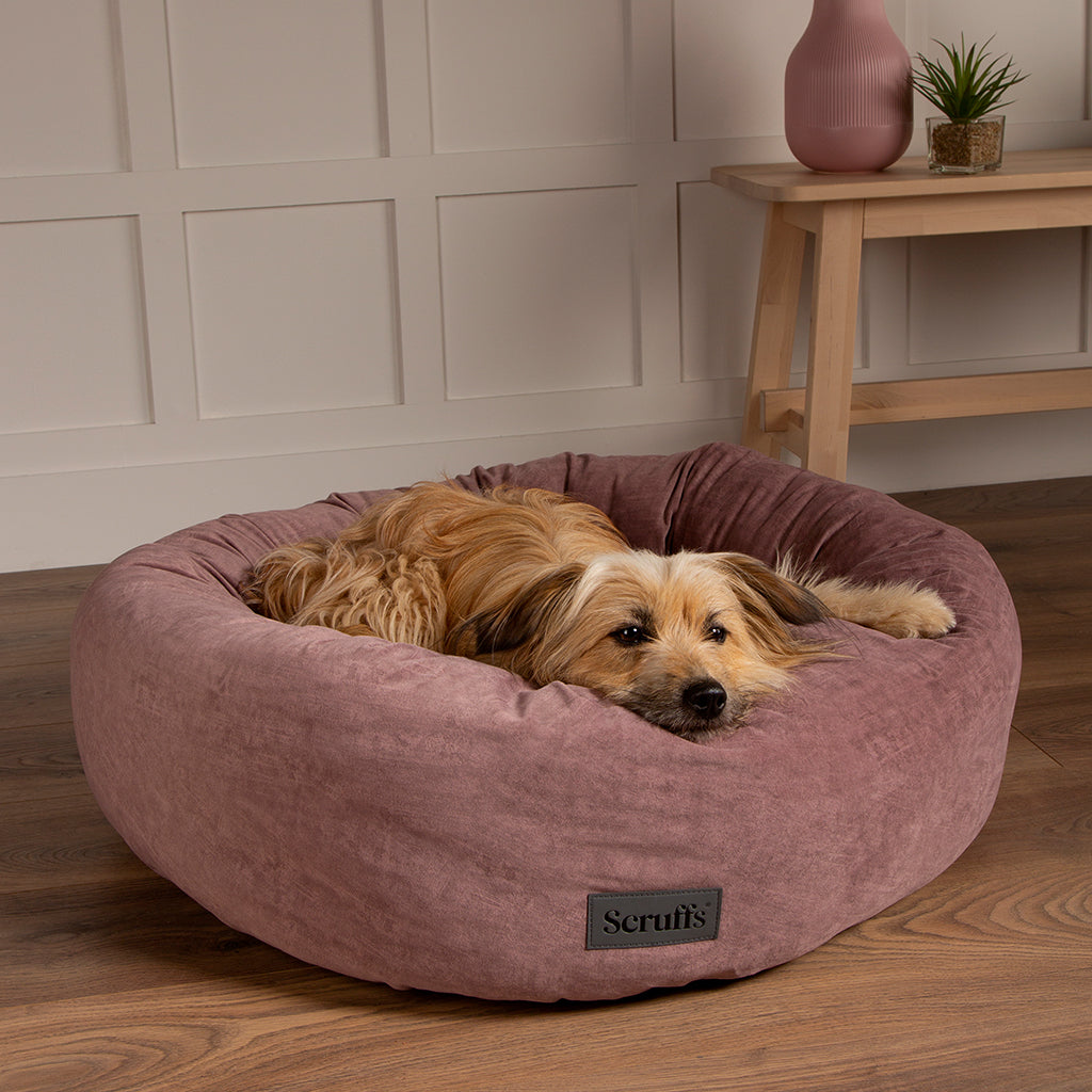 Oslo Ring Pet Bed (in Blush Pink, Desert Sand, Lake Teal or Stone Grey) by Scruffs