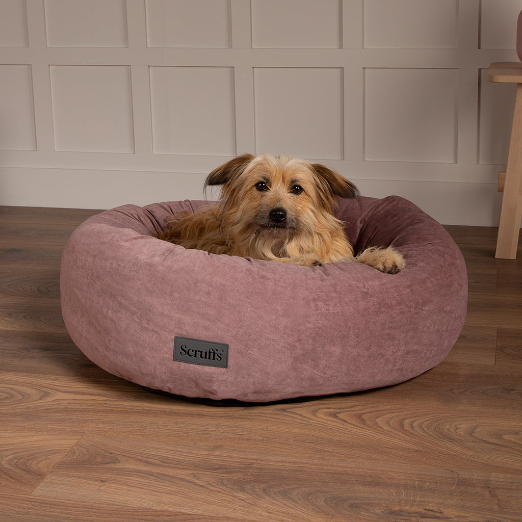 Oslo Ring Pet Bed (in Blush Pink, Desert Sand, Lake Teal or Stone Grey) by Scruffs