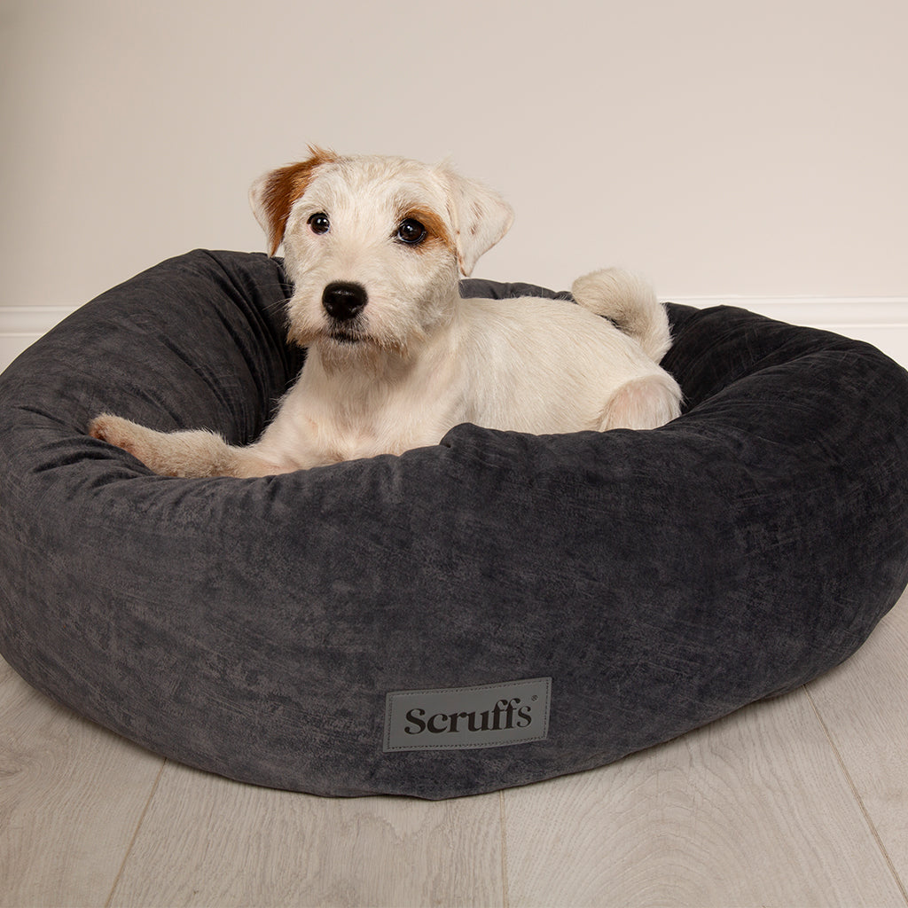 Oslo Ring Pet Bed (in Blush Pink, Desert Sand, Lake Teal or Stone Grey) by Scruffs