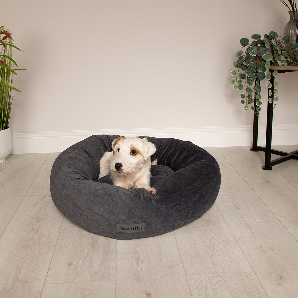 Oslo Ring Pet Bed (in Blush Pink, Desert Sand, Lake Teal or Stone Grey) by Scruffs