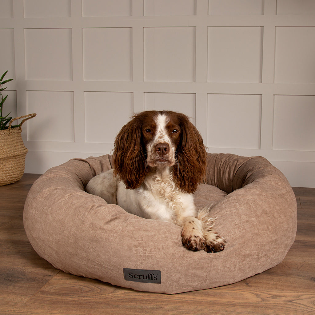 Oslo Ring Pet Bed (in Blush Pink, Desert Sand, Lake Teal or Stone Grey) by Scruffs