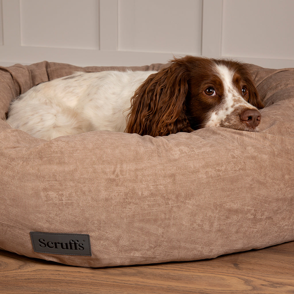 Oslo Ring Pet Bed (in Blush Pink, Desert Sand, Lake Teal or Stone Grey) by Scruffs