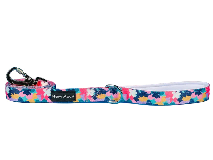 Floral-patterned dog leash with a clip on a blue background