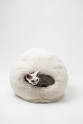 Mr Toulouse Pet Shop Cat peeking out from a fluffy white pet bed on a white background