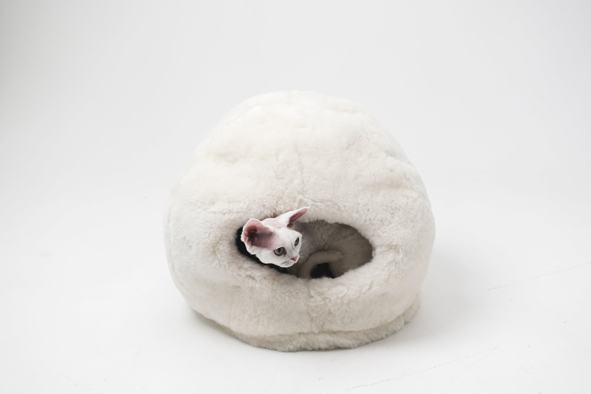Mr Toulouse Pet Shop Cat lying inside a fluffy white donut-shaped pet bed on a white background