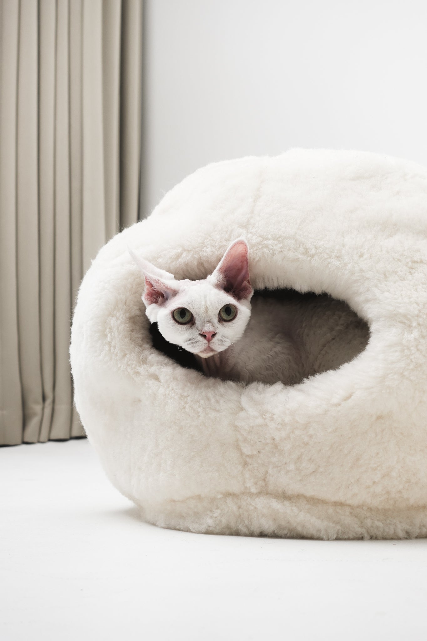 Mr Toulouse Pet Shop  Cat peeking out from a fluffy white pet bed on a light-coloured floor.