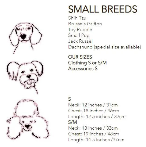 Dandy Shirt Dog Collar by Red & Ginger