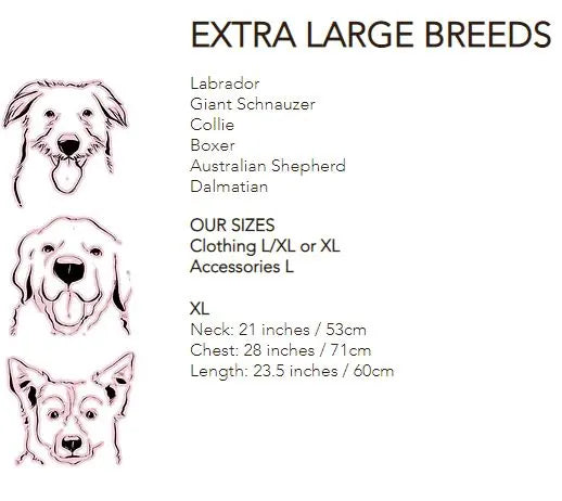 Chart detailing extra large dog breeds and their size requirements.