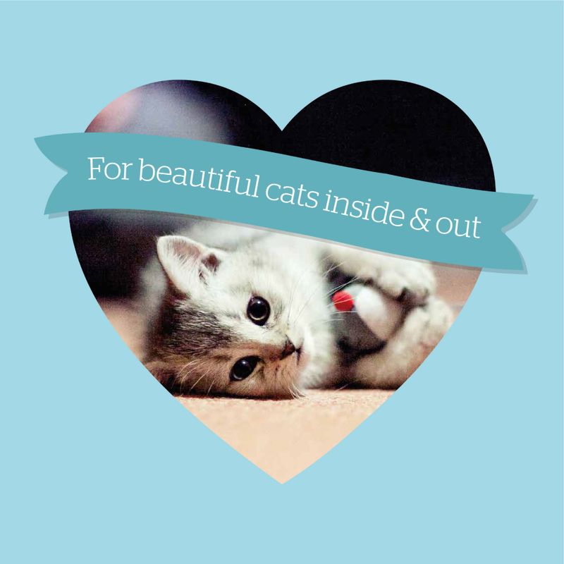 Burgess Kitten Chicken - 1.5kg